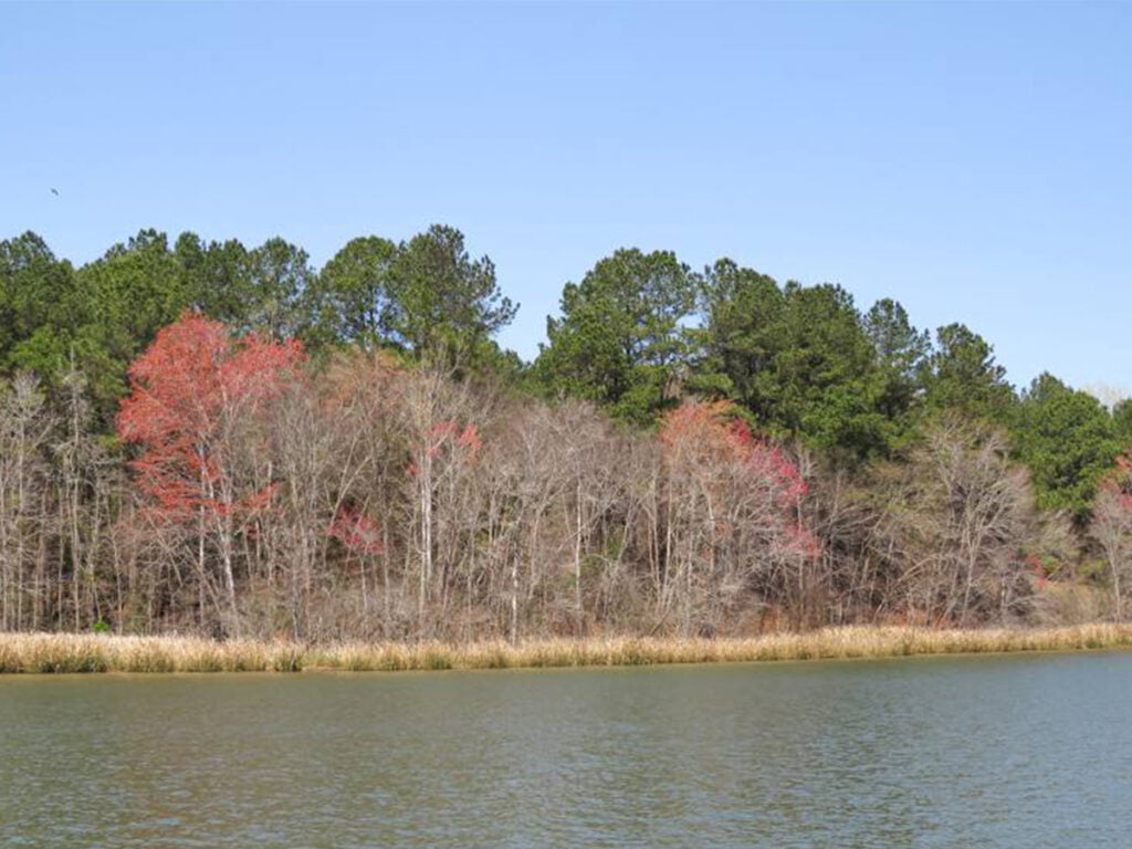 Pasadena, TX 4 Armand Bayou Nature Center