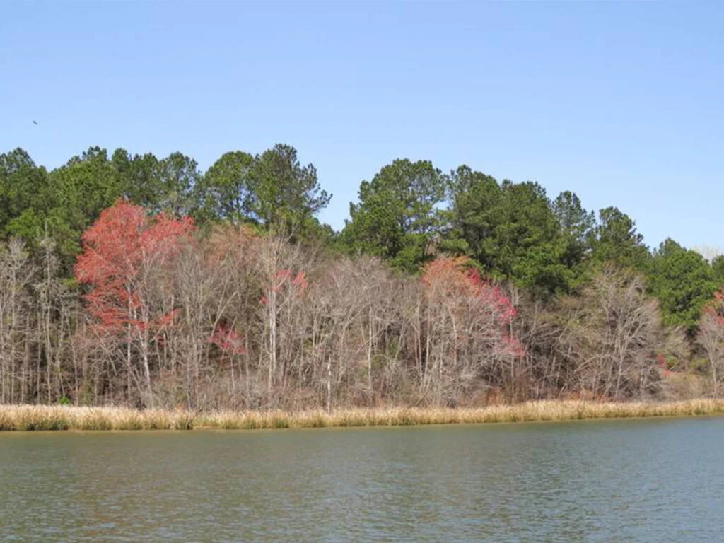 Armand Bayou Nature Center