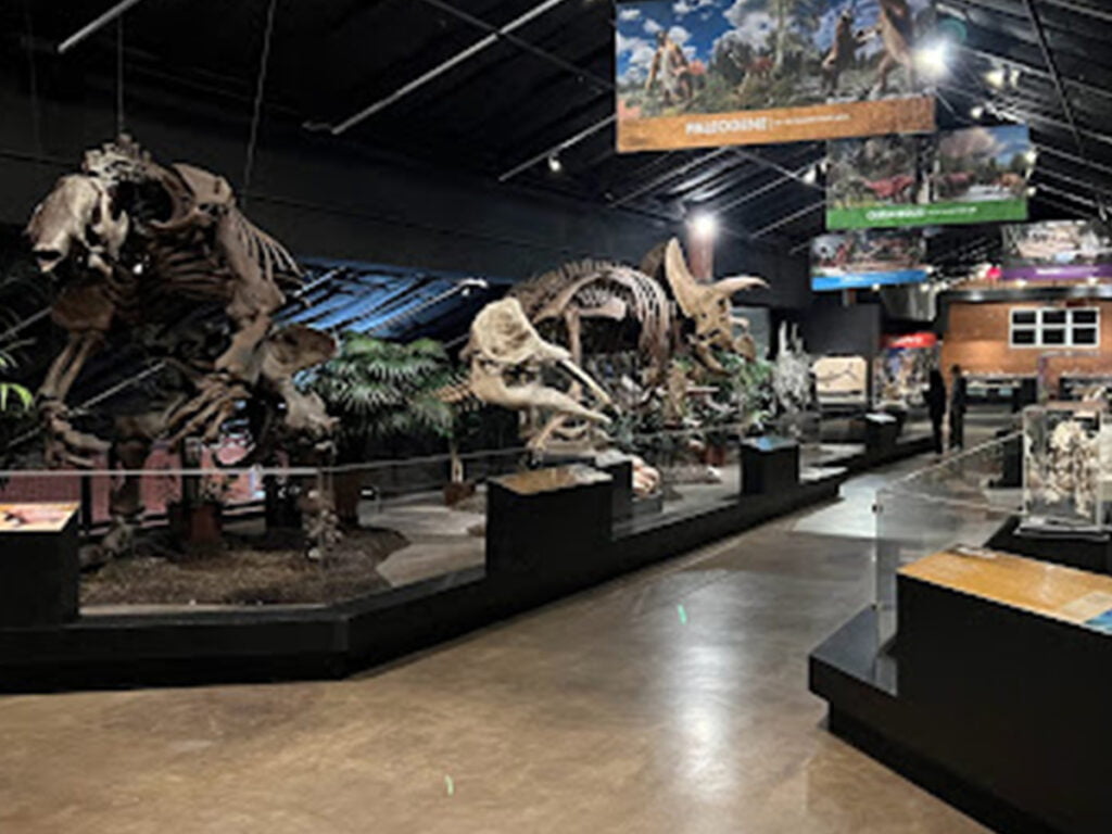 Richmond, TX 2 Houston Museum of Natural Science at Sugar Land 1